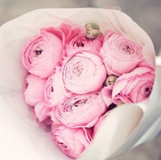 Ранункулюсы