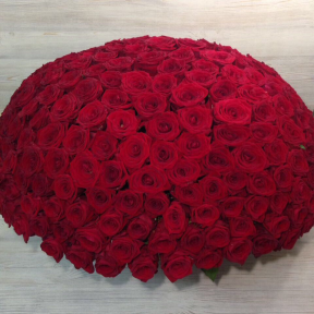 Корзина из 201 красной розы