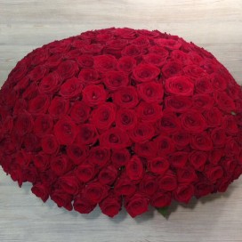 Превью Корзина из 201 красной розы