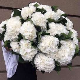 Превью Букет из 19 гортензий