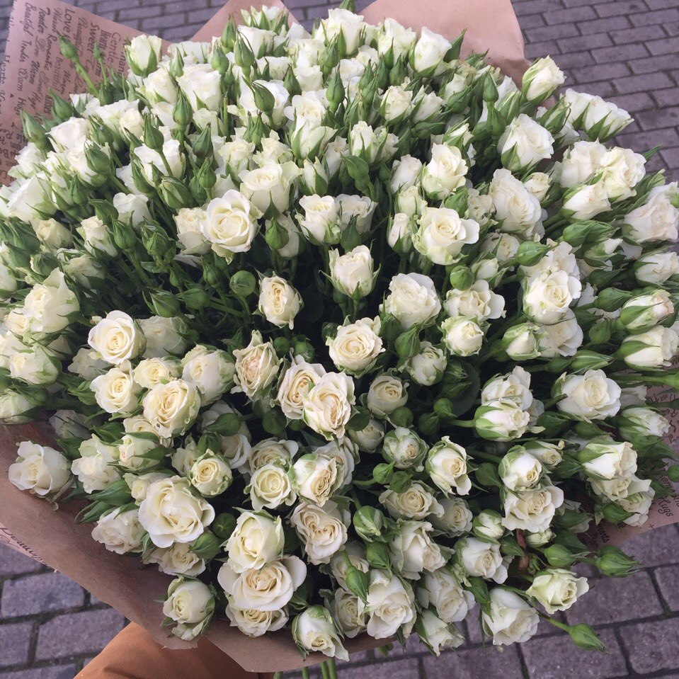 Букет из 49 белых кустовых роз