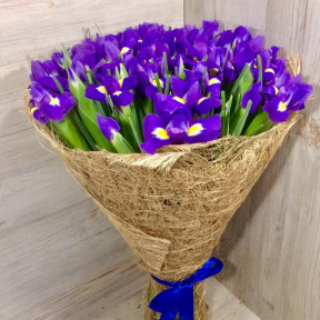 Букет из 51 ириса