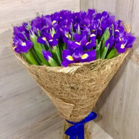 Превью Букет из 51 ириса