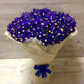 Букет из 75 синих ирисов