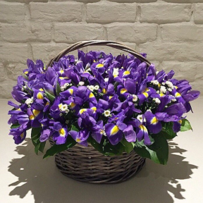 Корзина из 101 ириса