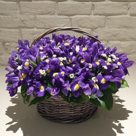 Превью Корзина из 101 ириса