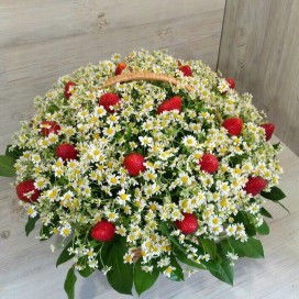 Превью Корзина ромашек с клубникой