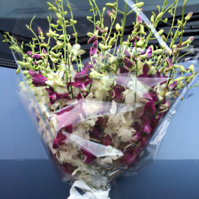 Букет из орхидей