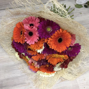 Букет из 23 гербер в сетке