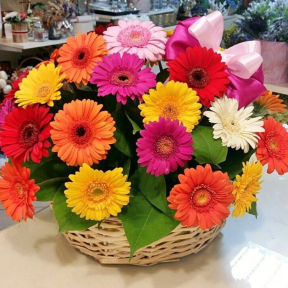 Корзина из 29 гербер