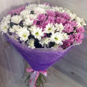 Букет из 15 нежных кустовых хризантем