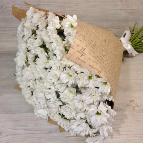 Букет из 35 белых кустовых хризантем