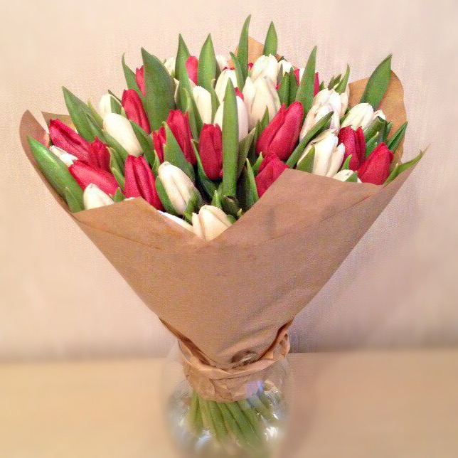 Букет из 49 красных и белых тюльпанов
