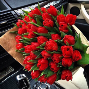 Букет микс из 49 красных тюльпанов