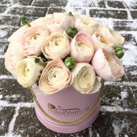 Превью Ранункулюсы в шляпной коробочке