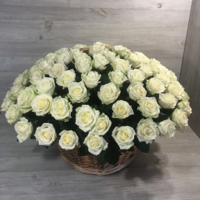 Корзина из 101 белой розы