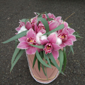 Букет в шляпной коробке «Недотрога»